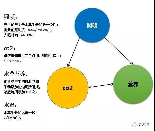 橡胶是农业吗