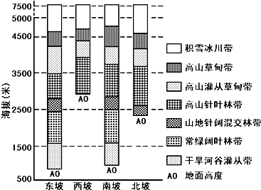 塑胶地板与家电模具图片一样吗