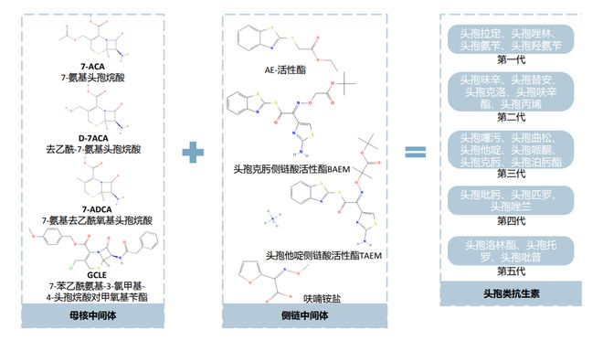 简述饮料生产中应用常用的酶及其特点