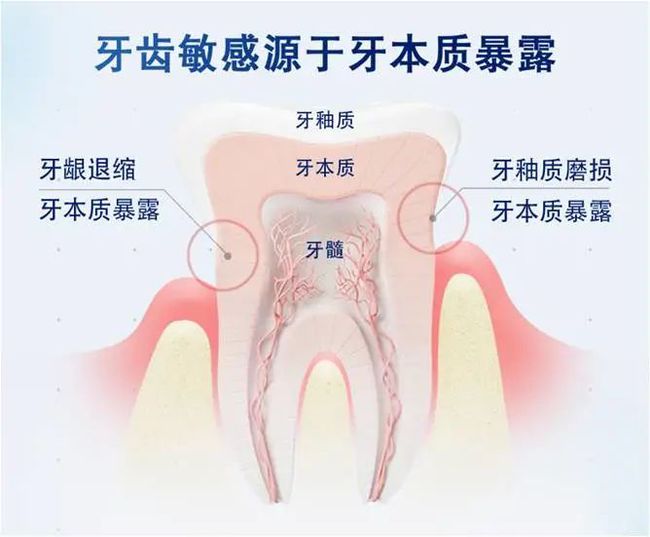 口腔卫生知乎