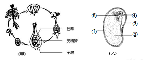 钒离子结构示意图